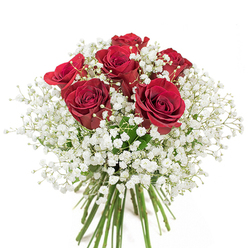 Crafted with the thoughtful artistry characteristic of Florists Uxbridge, this bouquet features approximately twenty velvety, fully opened red roses-each one poised with rich, luminous petals that seem to glow from within. Interspersed with generous sprays of fine white baby's breath, the arrangement takes on a multidimensional look, as if the roses are floating in cozy, cloud-soft mists of gypsophila. The presentation is meticulously domed-a lush, compact sphere held together in a crystal-clear glass vase, revealing the intricate network of sturdy green stems beneath. Sunlight catches the bouquet just so, enhancing the depth of carmine and the softness of white, inviting a sense of celebration into the room. The effect is both intimate and grand, reminiscent of shared special moments along the tranquil paths of Brunel University or in the welcoming gardens dotting Florists Uxbridge. This quintessentially romantic design is suitable for marking life's significant milestones, expressing undying affection, or adding timeless beauty to everyday moments, embodying the local pride and talent of Florists Uxbridge.